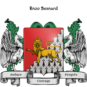Coat of Arms of Enri Narbey
